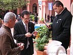 plaza_25_mayo_13.jpg