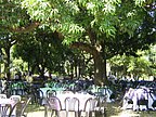 pami_agasajo_02.jpg
