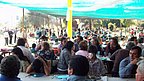 tatacua_015.JPG