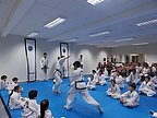 examen_taekwondo_073.jpg