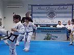 examen_taekwondo_273.jpg