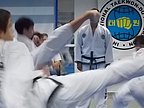 examen_taekwondo_281.jpg