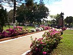 libres_fundacion_019.jpg