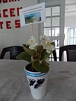 hijos_bellavista_006.jpg