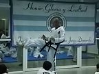 taekwon_do_054.jpg
