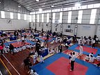 torneo_taekwondo_016.jpg