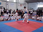 torneo_taekwondo_022.jpg