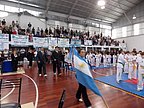 torneo_taekwondo