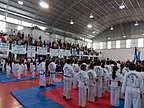 torneo_taekwondo_052.jpg