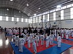 torneo_taekwondo_056.jpg