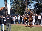 yapeyu-san-martin_097.jpg